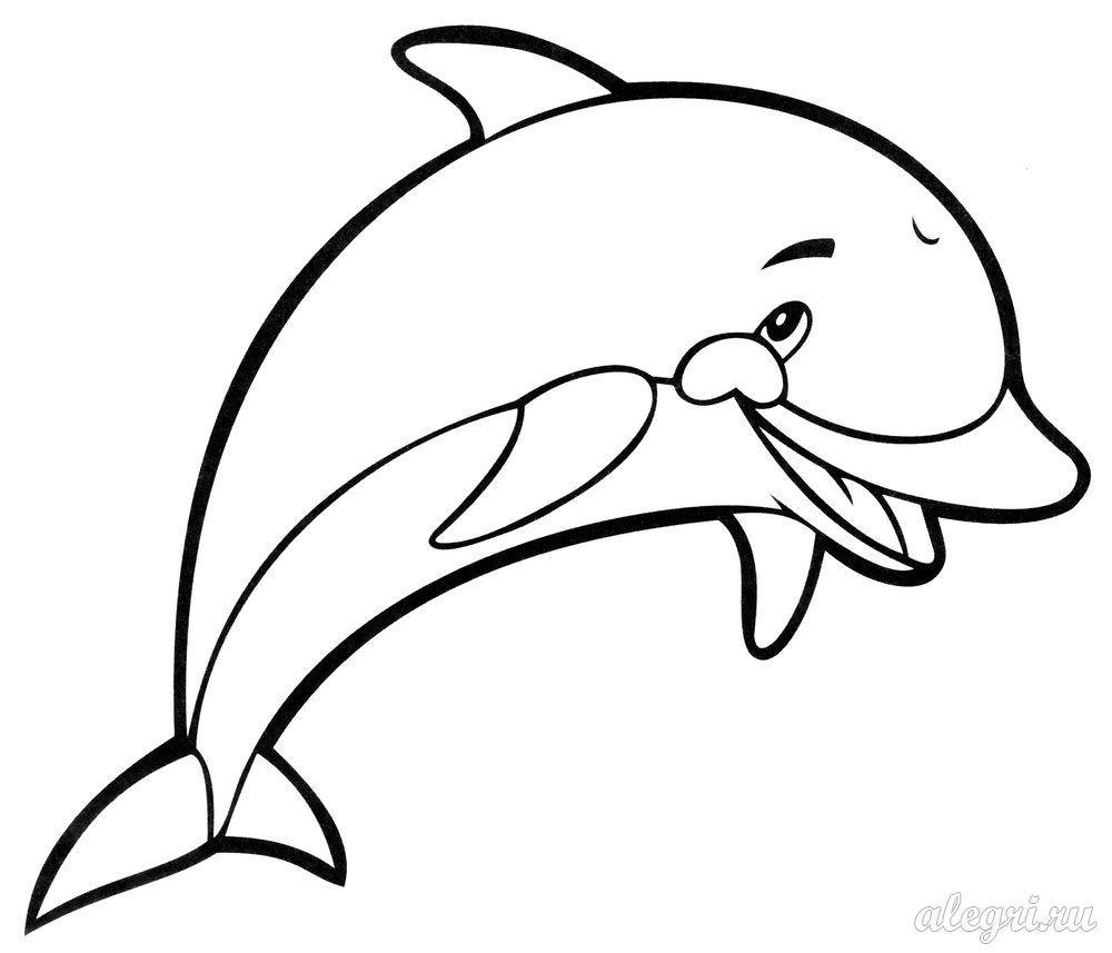 Раскраски дельфины дельфин   Раскраски с широким контуром дельфин 