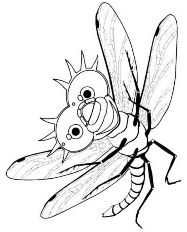 Раскраски стрекоза стрекозы  Стрекоза с большими глазами и улыбается