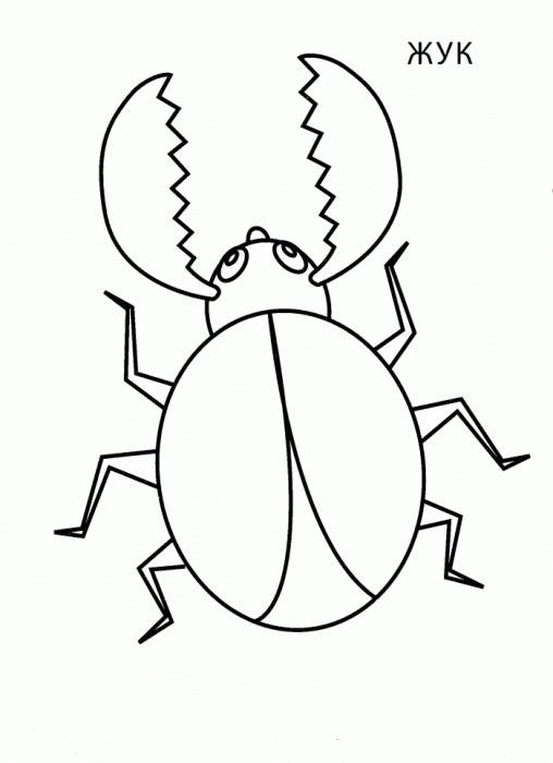  Раскраски жук с рожками
