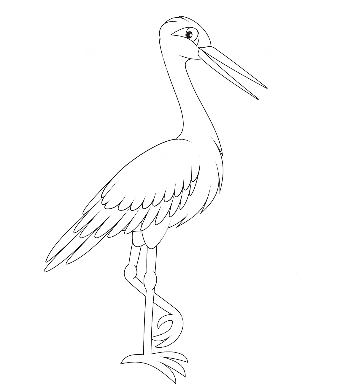 Раскраски Аист  Раскраска аист познакомит детвору с длинноногой птицей из отряда голенастых. 
