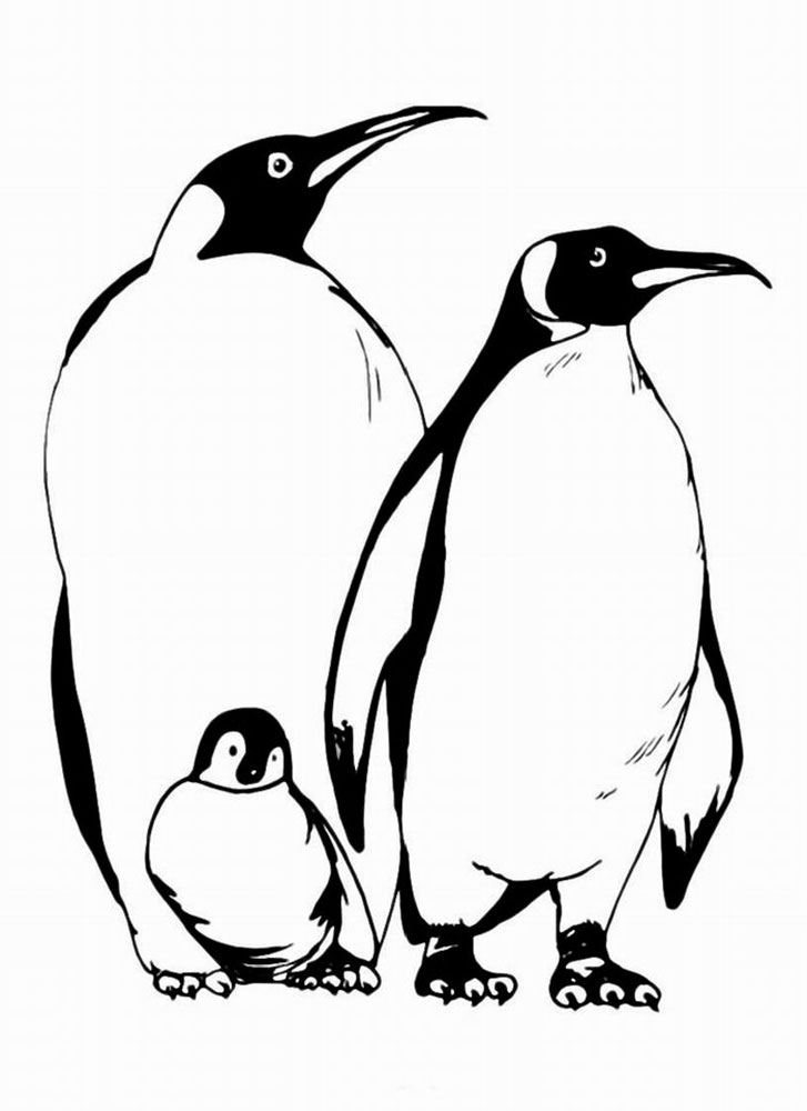 Раскраски Пингвин Раскраска пингвин познакомит детей с необычной птицей, которая не умеет летать, зато превосходно плавает!