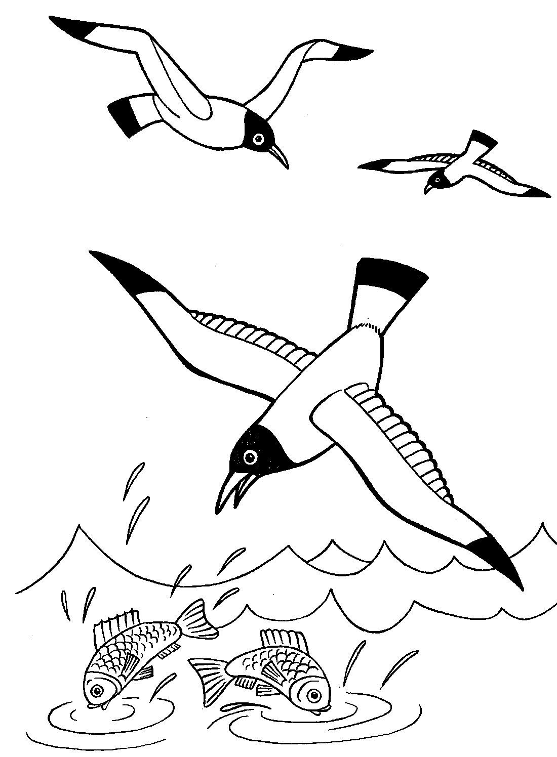 Раскраски Чайка Раскраска чайка – это собрание изображений с птичкой, живущей по всей планете вблизи морей, океанов.