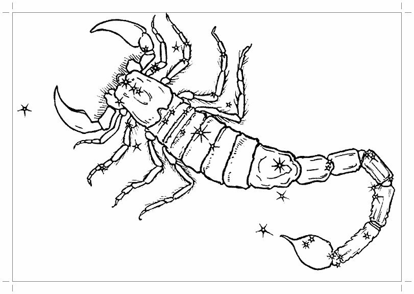 Раскраски Скорпион Раскраска скорпион — паукообразное членистоногое, известное своим скверным характером и ядовитым жалом.