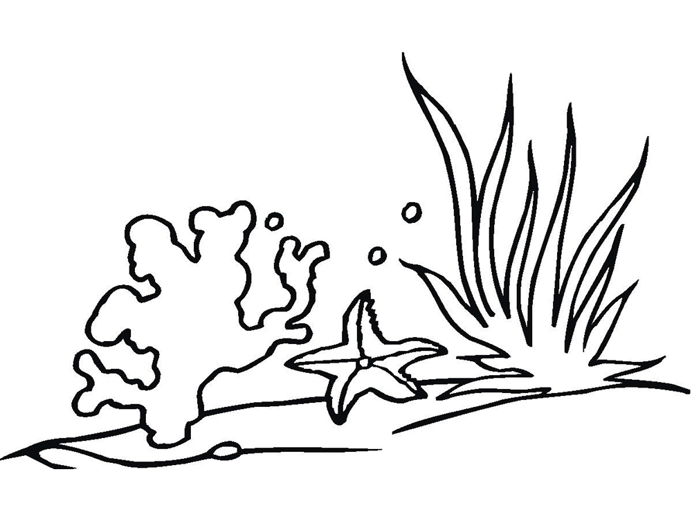 Раскраски Водоросли Раскраска водоросли содержит ряд водного и полуводного растения. Этот живой организм способен существовать в условиях ледника