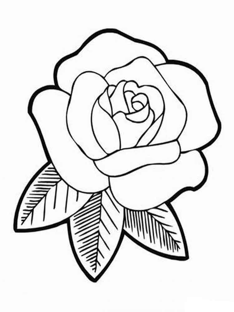 Раскраски Розы Раскраски Розы - это отличные картинки для детей с изображением такого замечательного и прекрасного цветка, как роза.