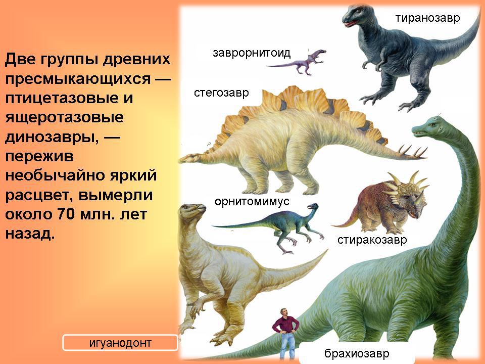 Динозавры Динозавры. Палеонтология для детей. Полезная информация в картинках про динозавров