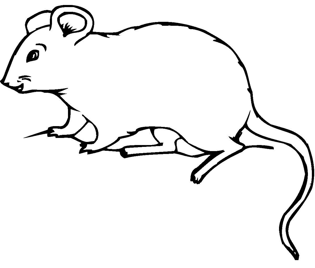 Раскраски Мышь Раскраски Мышь, мышка, мышонок, раскраски с мышатами для самых маленьких