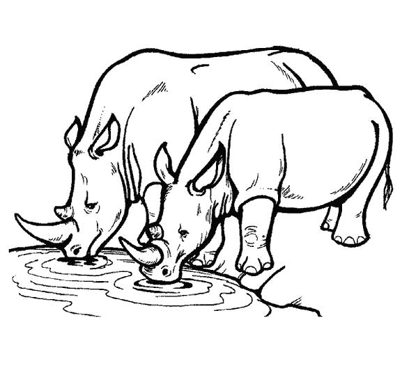 Раскраски Носорог Раскраски Носорог, носороги с детенышами, раскраски про носорогов для детей