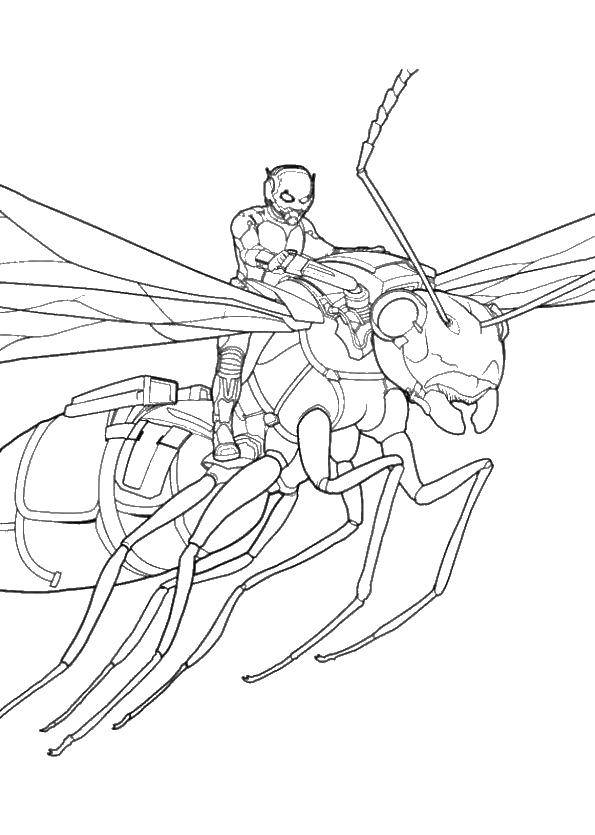 Раскраски Человек муравей Раскраски Человек муравей, раскраски по фантастическому комиксу