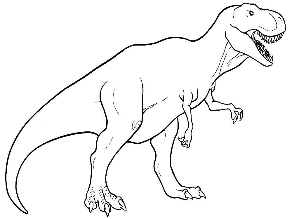 Раскраски Тираннозавр Раскраски Тираннозавр, раскраски для школьников про динозавров