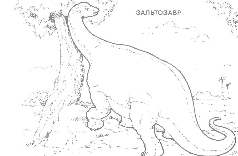 Раскраски Зальтозавр Раскраски Зальтозавр. Раскраски про виды динозавров с подписями