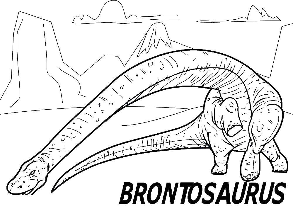 Раскраски Бронтозавр Раскраски Бронтозавр. Раскраски динозавра с длинной шеей