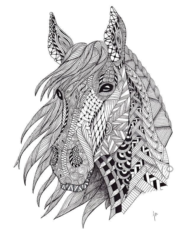 Раскраски лошади Раскраски лошади, сложные антистресс раскраски с лошадьми для взрослых и подростков